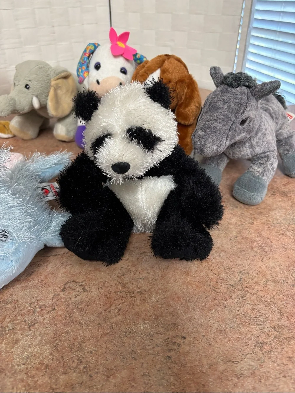 webkinz bundle 13